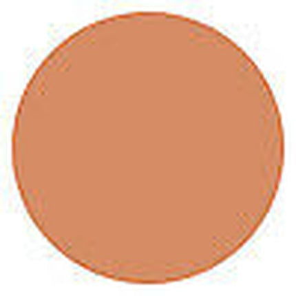 Lirene Concealing Foundation Camouflaging Imperfections With Vitamin E 22 Natural 30ml