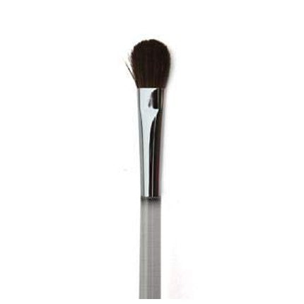Giussani Rapid Eyeshadow Brush P305 and Cosmetics 100g