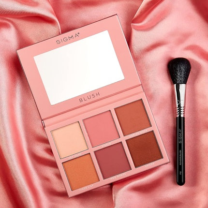 Sigma Beauty Professional F10 Powder/Blush Brush - Vegan, Hypoallergenic, Synthetic Makeup Brush