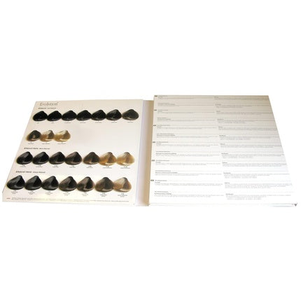 Alfaparf Evolution of the Color Color Chart