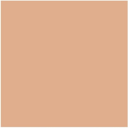 Lancome Teint Idole Ultra Wear Stick with Kabuki Brush 03 Beige Diaphane 9.5g