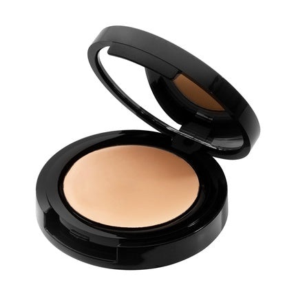 Radiant Professional High Coverage Creamy Concealer Under Eye Concealer Maximum Coverage Creamy Non Oily Long Lasting Makeup 3g 01 Ivory