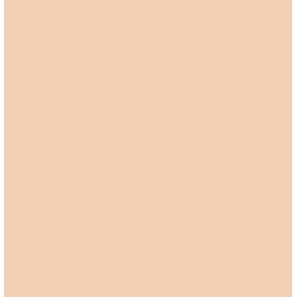 Lirene Perfect Tone Fluid Foundation 30ml