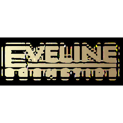 Eveline Quattro Professional Eyeshadow Palette - 06, 7.2g