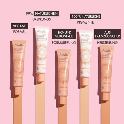 Melvita BB Cream Source de Roses Gold 100% Natural Pigments Certified Organic Silicone-Free Natural Coverage 6-in-1 40ml