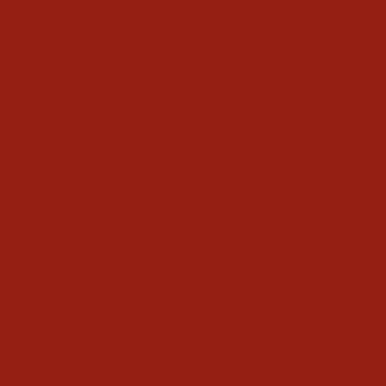 Guerlain Rouge G Luxuroius Velvet Matte Lipstick No. 555 3.5g