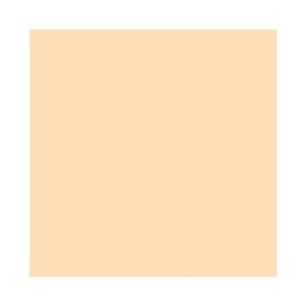 MAC Studio Fix 24-Hour Smooth Wear Concealer - NW10 7ml concealer