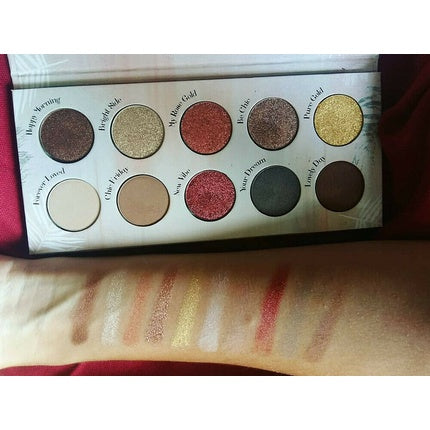 PEGGY SAGE Eyeshadow Color Palette 10 Compact Powders for 3D Metal & Matte Eyelids