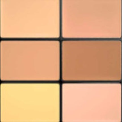 Face Pro Conceal and Correct Palette 6 grams Shade Medium