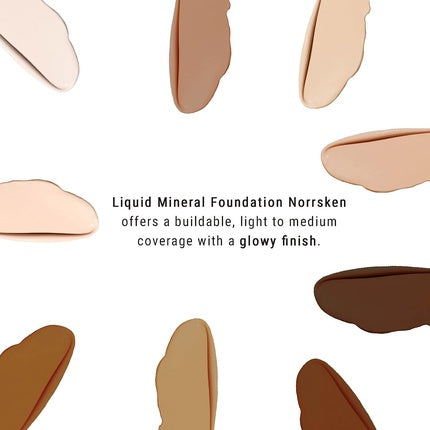 IDUN Minerals Liquid Norrsken Foundation Silky Smooth Coverage Luminous Dewy Finish for Dry and Dull Skin Water Resistant and Vegan Makeup 206 Freja Warm Light 1.01 oz