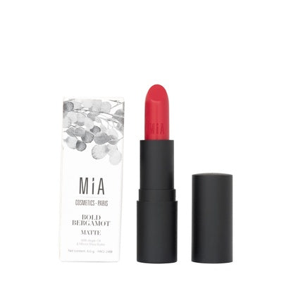 Labial Mate 504 Bold Bergamot 4g