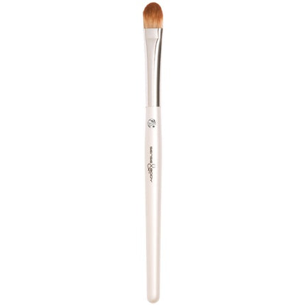 Gemglow Professional 4-Piece Eyeshadow Brush Collection