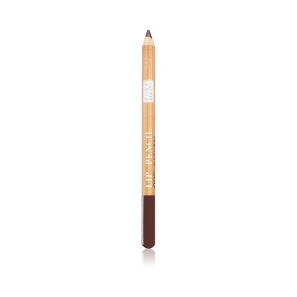 Astra Pure Beauty Lipstick 01 Mahogany 30g