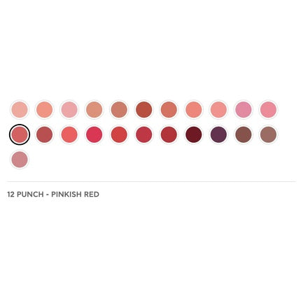 Radiant Professional Advanced Care Lipstick Ultra Nourishing Moisturizing Long Lasting Matte Lipstick With Vitamin E UVA UVB Filters Velvet 12 Punch Pinkish Red