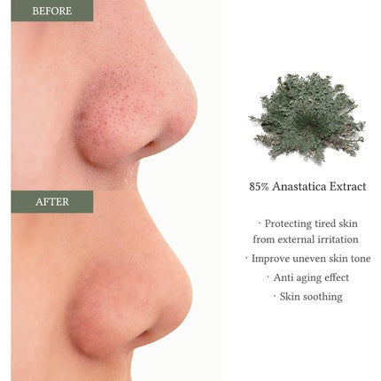 Anastatica Skin Conditioning Toner Pad