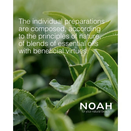 Noah 5.5 Illuminating Spray 125ml