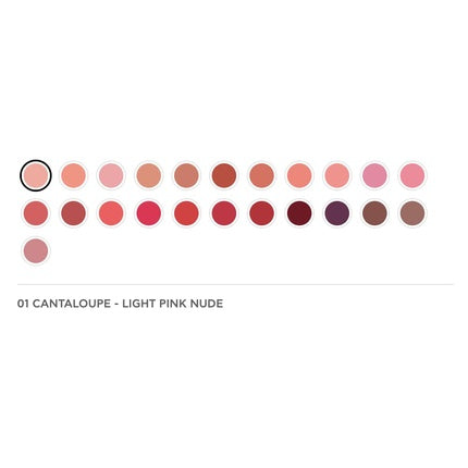 Radiant Professional Advanced Care Lipstick Ultra Nourishing Moisturizing Long Lasting Matte Lipstick With Vitamin E UVA UVB Filters For Sun Protection VELVET 01 CANTALOUPE LIGHT PINK NUDE