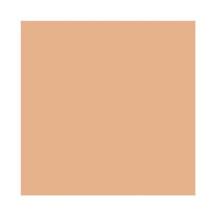 Mac Studio Fix Powder Plus Foundation NC55 15g