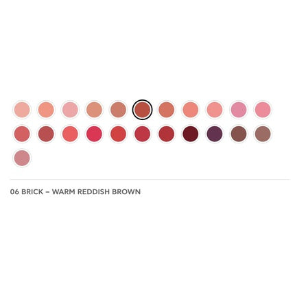 Radiant Professional Advanced Care Lipstick Ultra Nourishing Matte Lipstick With Vitamin E 06 Brick Warm Reddish Brown