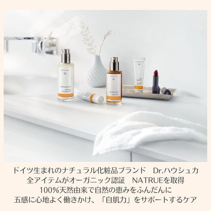 Dr. Hauschka Eye & Brow 01 Stone Palette 5.3g