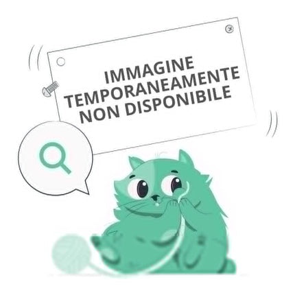 BioNike Defence Color Lovely Touch Liquid Blush 401 Rose 5ml