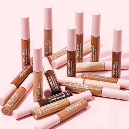 Fresh Face Perfecting Concealer with Hyaluronic Acid Shade 4 6ml