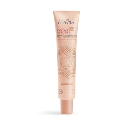 Melvita BB Cream Source de Roses Gold 100% Natural Pigments Certified Organic Silicone-Free Natural Coverage 6-in-1 40ml