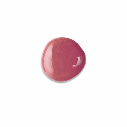 Bourjois Fabuleux Gloss Lip Gloss 09 Mauvie Star 3.5ml