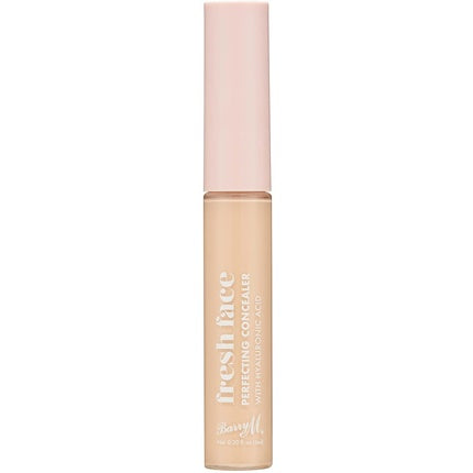 Fresh Face Perfecting Concealer with Hyaluronic Acid Shade 2