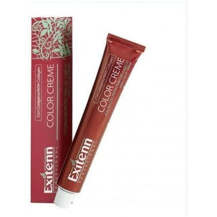 Exitenn Color Cream 60ml Color 1122 Wheat Beige