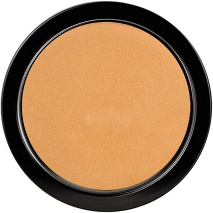 Paese Illuminating Covering Powder 2c Natural 9g