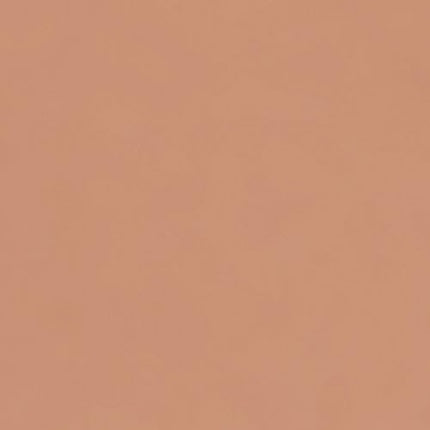 Stargazer Matte Finish Lipstick 209 Maximum Color Creamy Lipstick 5.20g