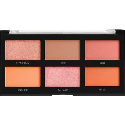 Profusion Cosmetics Blush III Palette with 6 Shades