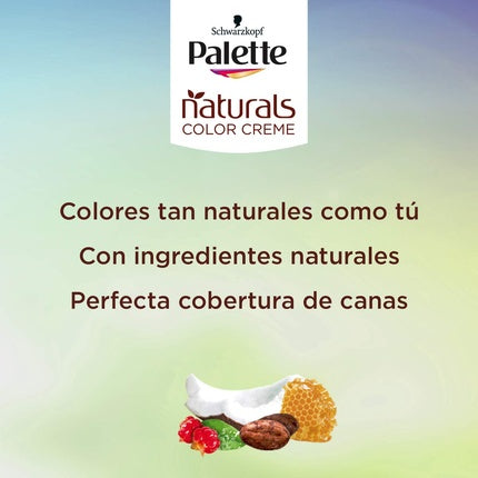 Palette NC 5.0 Light Brown Brush ES