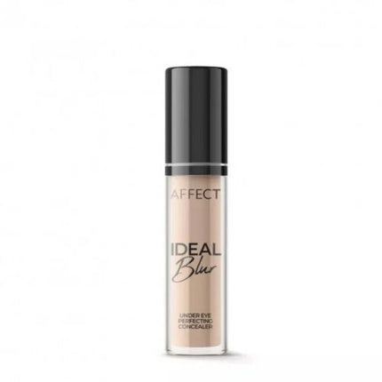 Ideal Blur Under Eye Perfecting Concealer 5g