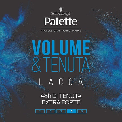 Palette Volume Hold Spray 300ml