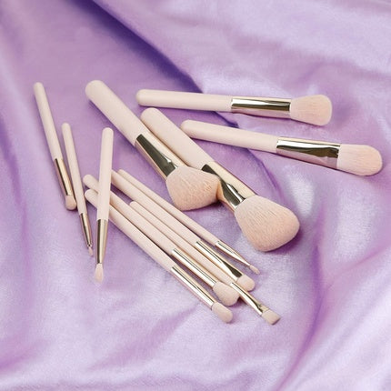 T4B Set of 12 Makeup Brushes