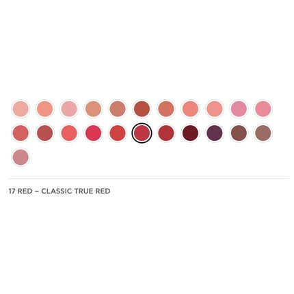 Radiant Professional Advanced Care Lipstick Ultra Nourishing Matte Lipstick With Vitamin E 17 Red Velvet