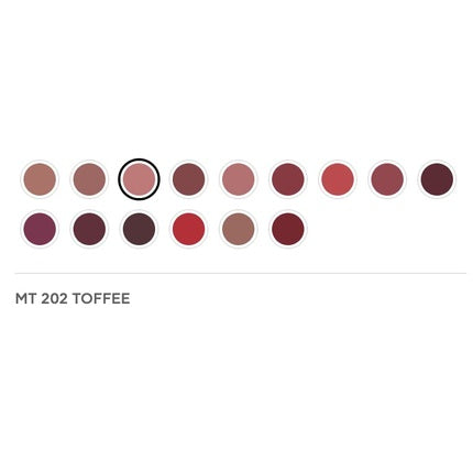 Radiant Professional Advanced Care Lipstick Ultra Nourishing Moisturizing Long Lasting with Vitamin E UVA UVB Filters Matte Toffee 202