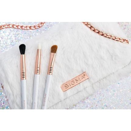 Sigma Beauty Magical Eye Brush Set