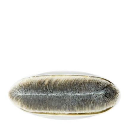 Mac 190 Foundation Brush