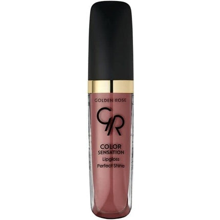 Golden Rose COLOR SENSATION Lip Gloss 5.6ml Color 108