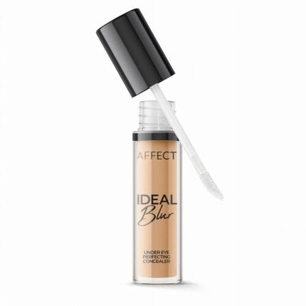 Ideal Blur Under Eye Perfecting Concealer 2W 5g