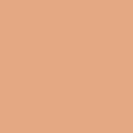 Mac Studio Fix 24 Hour Smooth Wear Concealer NC38 7ml