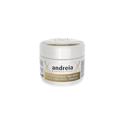 Andreia Professional Gold Spider Gel Creation Nail Art Design