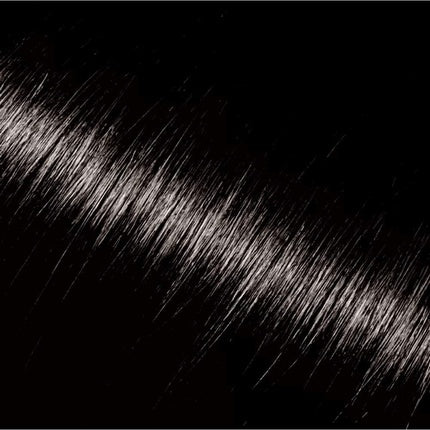 L'Oréal Professionnel Hair Touch Up Black 75ml