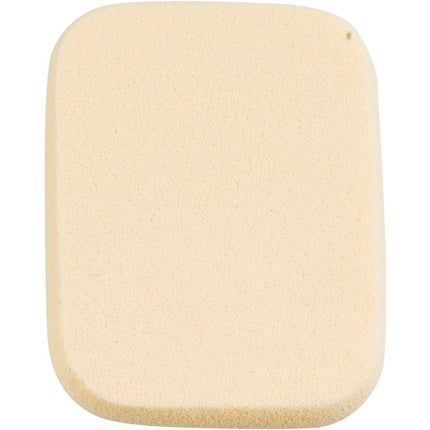 Rectangular Sponges Pack of 2
